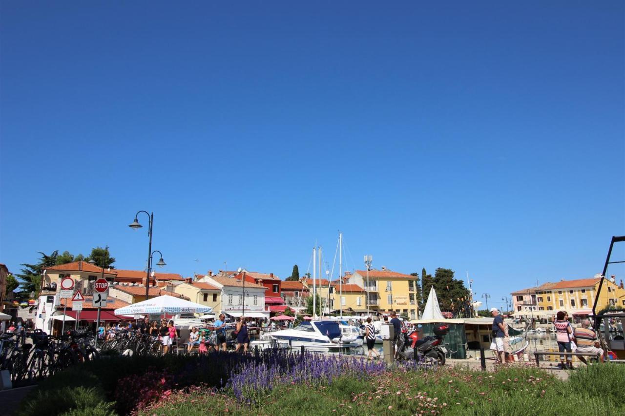 Irena A2 Appartement Novigrad Istria Buitenkant foto